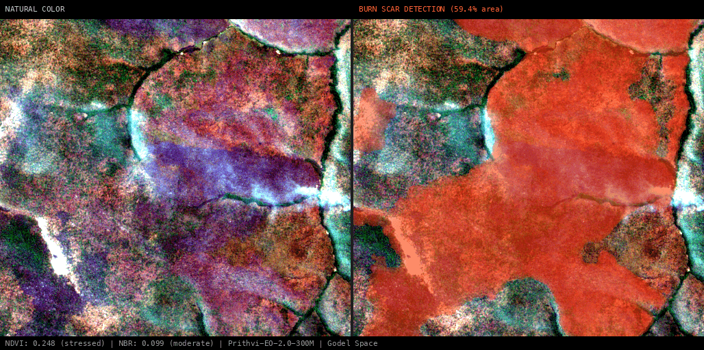 ML analysis for Green forest fire notification in Angola