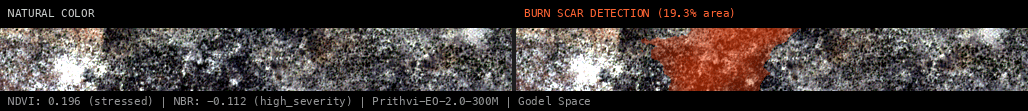 ML analysis for Green forest fire notification in Angola