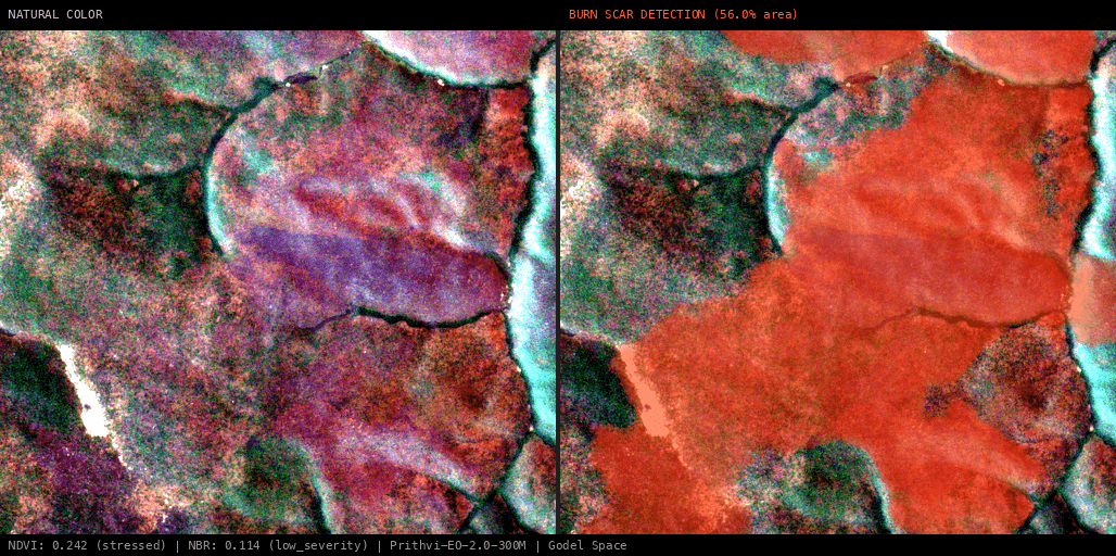 ML analysis for Green forest fire notification in Angola