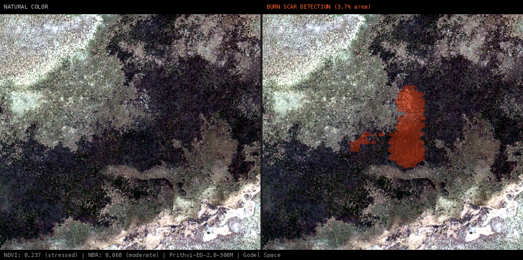 ML analysis for Green forest fire notification in Angola