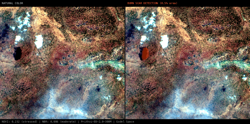 ML analysis for Green forest fire notification in Tanzania