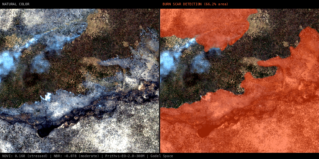 ML analysis for Green forest fire notification in Angola