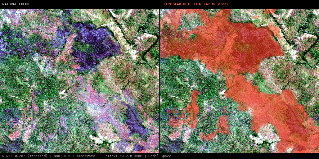 ML analysis for Green forest fire notification in Mozambique