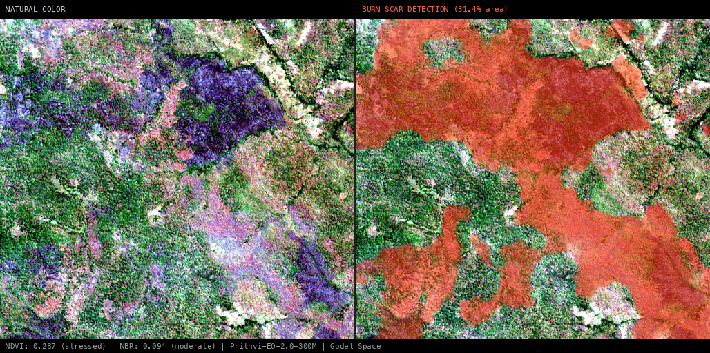 ML analysis for Green forest fire notification in Mozambique