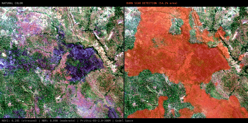 ML analysis for Green forest fire notification in Mozambique