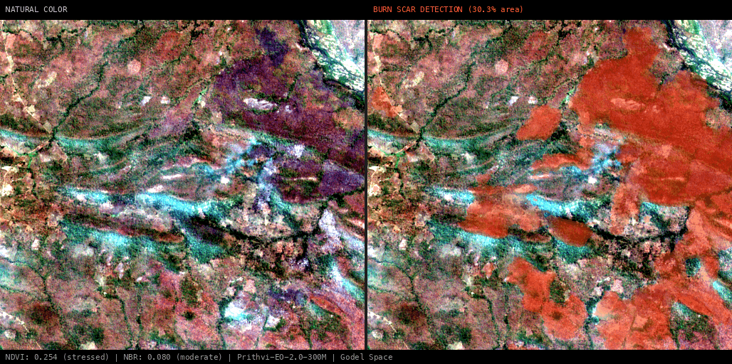 ML analysis for Green forest fire notification in Mozambique