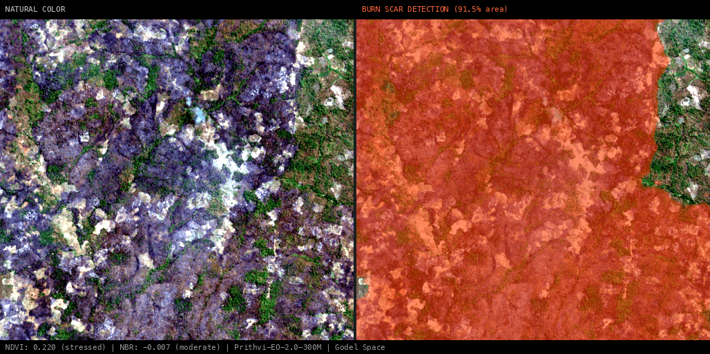 ML analysis for Green forest fire notification in Mozambique