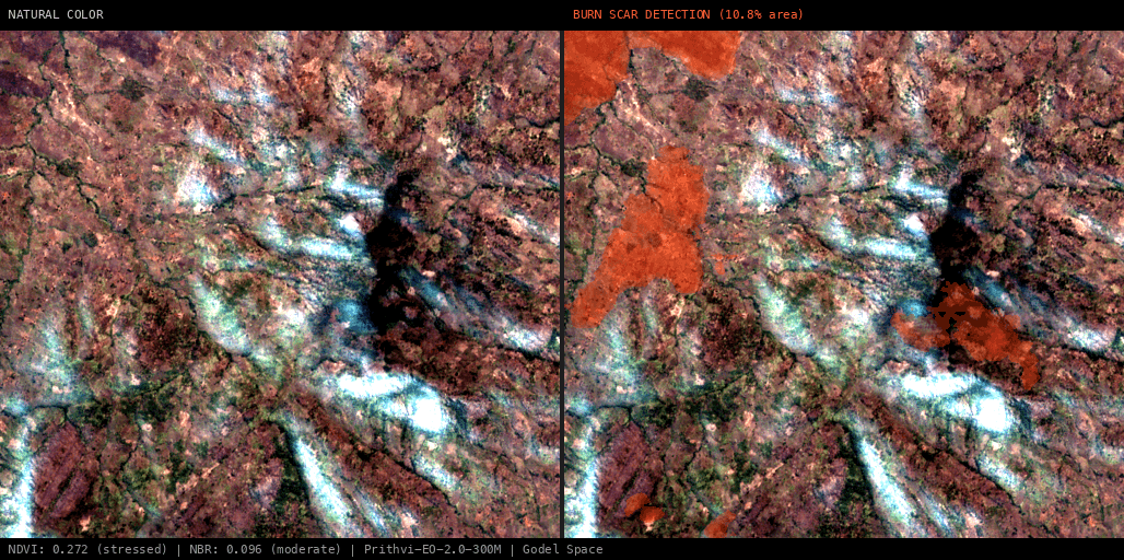 ML analysis for Green forest fire notification in Mozambique
