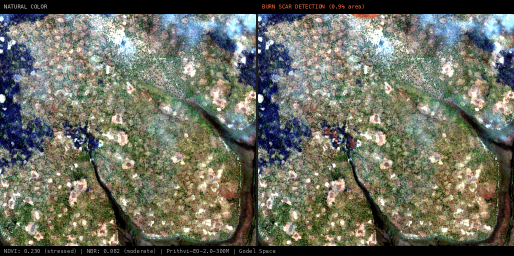 ML analysis for Green forest fire notification in Zambia