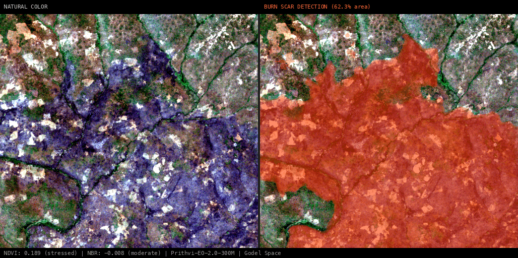 ML analysis for Green forest fire notification in Mozambique